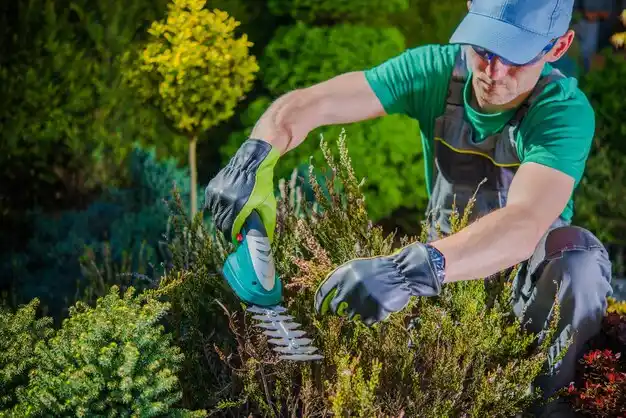 landscaping services Montz